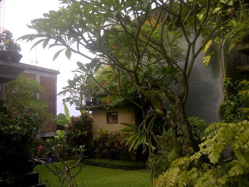 Candra Asri Bungalow Ουμπούντ Εξωτερικό φωτογραφία
